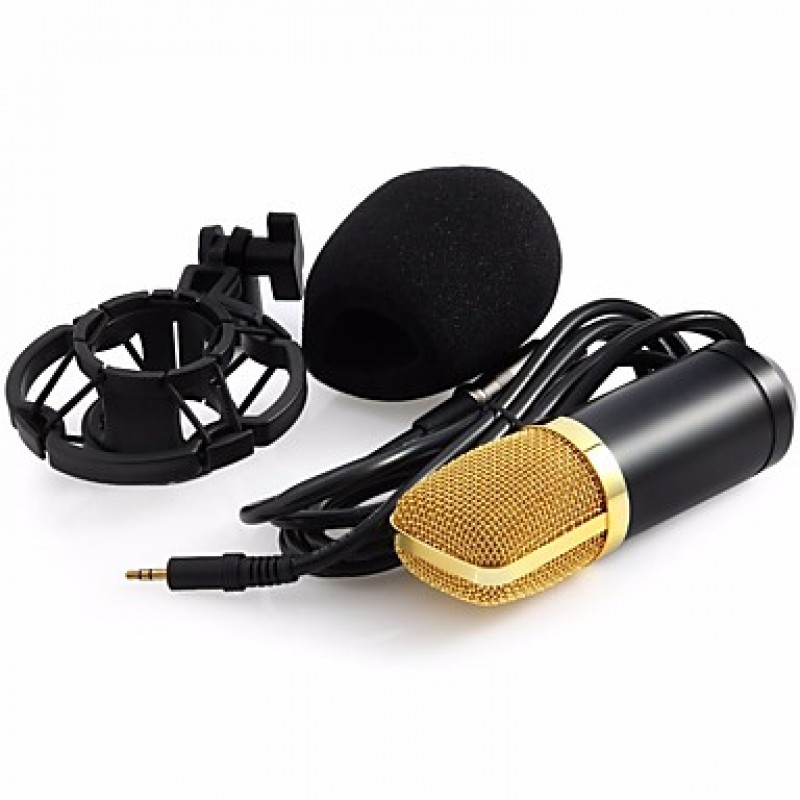 Professional BM700 Condenser KTV Microphone Cardioid Pro Audio Studio Vocal Recording Mic