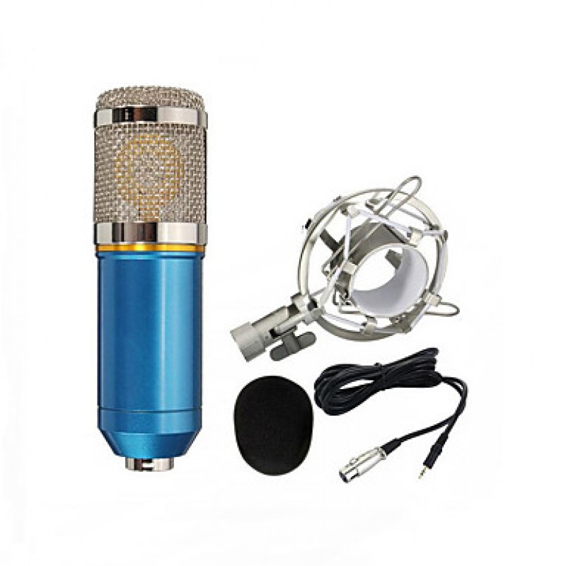 Professional Condenser Microphone Mic Studio Sound Recording Dynamic Record BM800