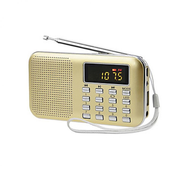 Y-896 Portable Player Radio for the Elderly