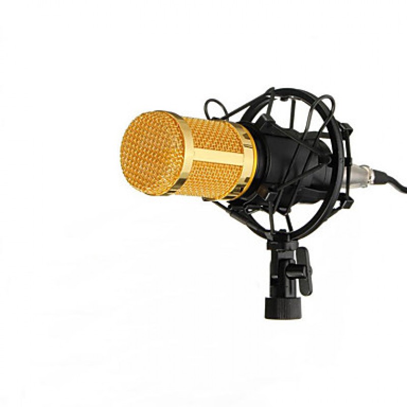 Professional Condenser Microphone Mic Studio Sound Recording Dynamic Record BM800