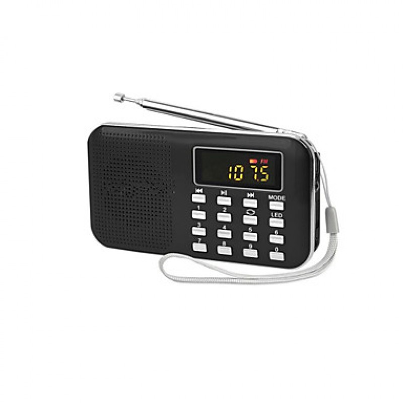 Y-896 Portable Player Radio for the Elderly