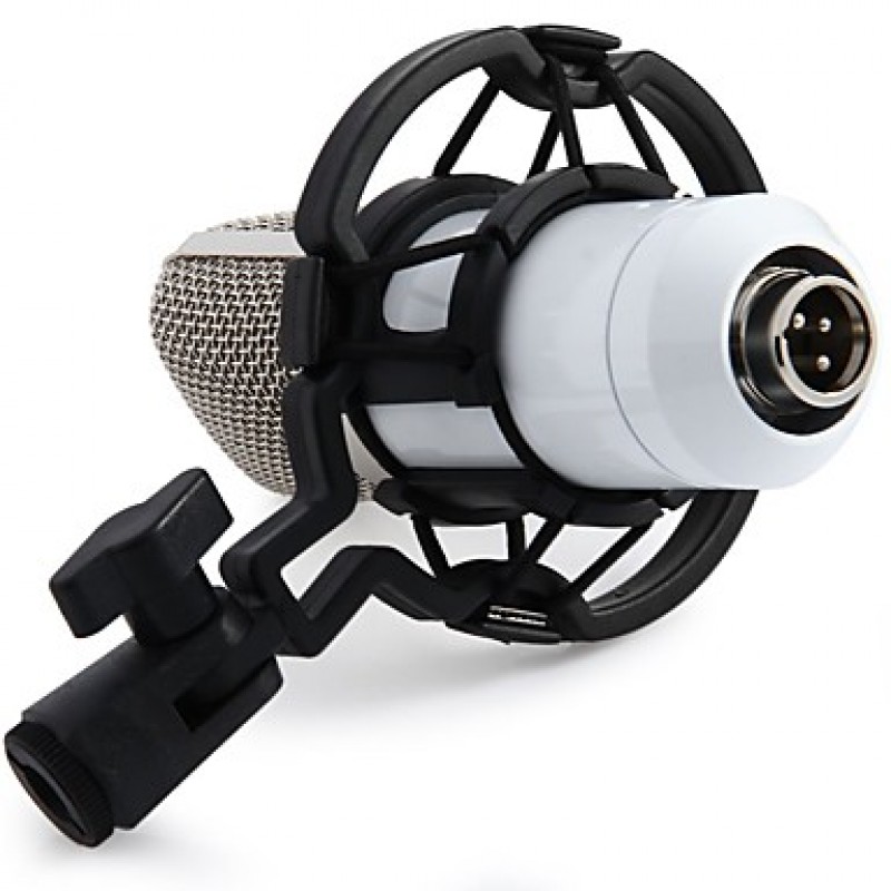 Professional BM700 Condenser KTV Microphone Cardioid Pro Audio Studio Vocal Recording Mic