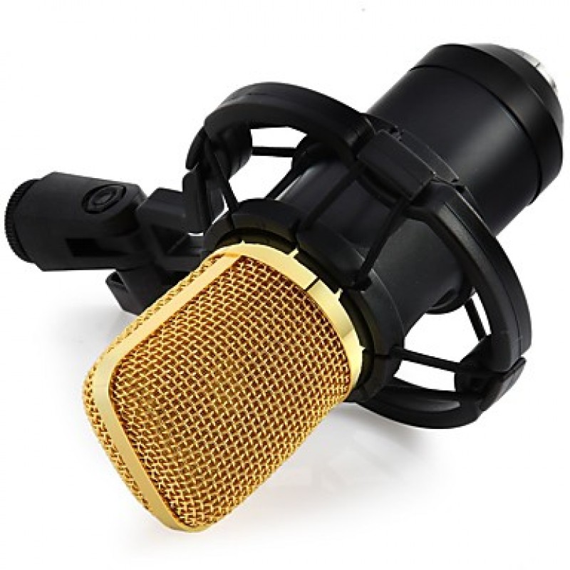 Professional BM700 Condenser KTV Microphone Cardioid Pro Audio Studio Vocal Recording Mic